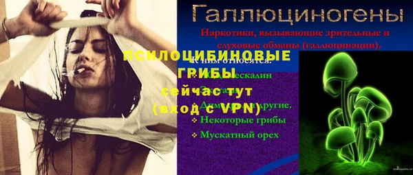 ECSTASY Белоозёрский