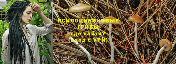 твердый Балабаново